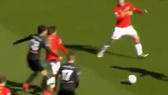 仅拥有广泛 仅拥有广泛