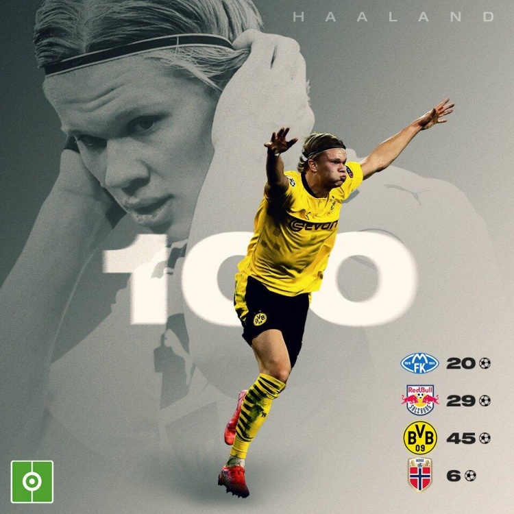 会在审计日 会在审计日